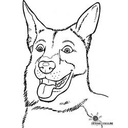 Dibujo para colorear: Perro (Animales) #3218 - Dibujos para Colorear e Imprimir Gratis