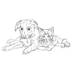 Dibujo Perro y Gato (Animales) #211037 para imprimir y colorear