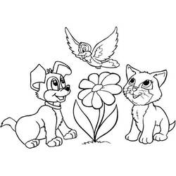 Dibujo Perro y Gato (Animales) #211061 para imprimir y colorear