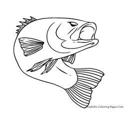 Dibujo para colorear: Pescado (Animales) #17040 - Dibujos para Colorear e Imprimir Gratis