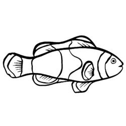 Dibujo para colorear: Pescado (Animales) #17058 - Dibujos para Colorear e Imprimir Gratis