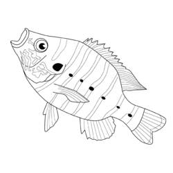 Dibujo para colorear: Pescado (Animales) #17201 - Dibujos para Colorear e Imprimir Gratis