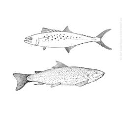 Dibujo para colorear: Pescado (Animales) #17209 - Dibujos para Colorear e Imprimir Gratis