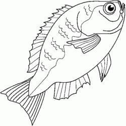 Dibujo para colorear: Pescado (Animales) #17217 - Dibujos para Colorear e Imprimir Gratis
