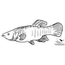 Dibujo para colorear: Pescado (Animales) #17220 - Dibujos para Colorear e Imprimir Gratis