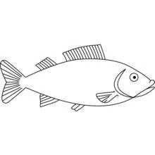 Dibujos para colorear: Pez - Dibujos para Colorear e Imprimir Gratis