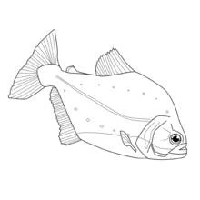 Dibujo Pez (Animales) #17213 para imprimir y colorear