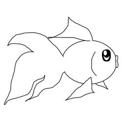 Dibujo Pez (Animales) #175161 para imprimir y colorear