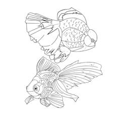 Dibujo Pez Dorado (Animales) #208311 para imprimir y colorear