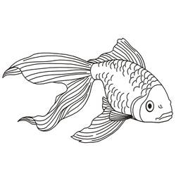 Dibujo Pez Dorado (Animales) #208326 para imprimir y colorear