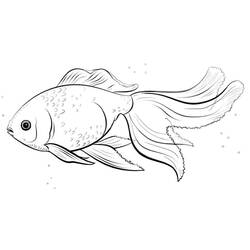 Dibujo Pez Dorado (Animales) #208329 para imprimir y colorear