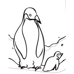 Dibujo para colorear: Pingüino (Animales) #16822 - Dibujos para Colorear e Imprimir Gratis