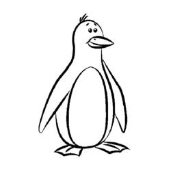 Dibujos para colorear: Pingüino - Dibujos para colorear