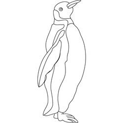 Dibujo para colorear: Pingüino (Animales) #16860 - Dibujos para Colorear e Imprimir Gratis