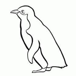 Dibujo para colorear: Pingüino (Animales) #16874 - Dibujos para Colorear e Imprimir Gratis