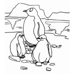 Dibujo para colorear: Pingüino (Animales) #16876 - Dibujos para Colorear e Imprimir Gratis