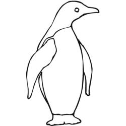 Dibujo para colorear: Pingüino (Animales) #16900 - Dibujos para Colorear e Imprimir Gratis
