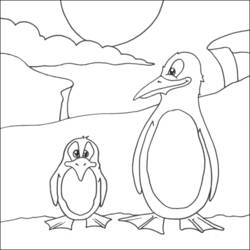 Dibujo para colorear: Pingüino (Animales) #16976 - Dibujos para Colorear e Imprimir Gratis