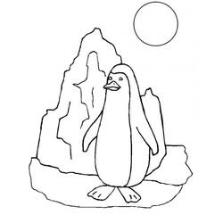Dibujo Pingüino (Animales) #186554 para imprimir y colorear