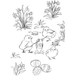 Dibujo Pollito (Animales) #15443 para imprimir y colorear