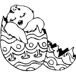 Dibujo Pollito (Animales) #15453 para imprimir y colorear