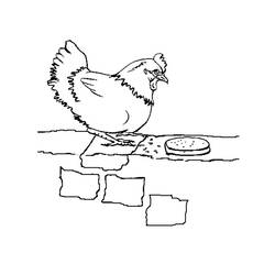 Dibujo para colorear: Pollo (Animales) #17230 - Dibujos para Colorear e Imprimir Gratis