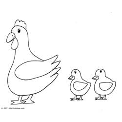 Dibujo para colorear: Pollo (Animales) #17238 - Dibujos para Colorear e Imprimir Gratis