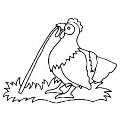 Dibujo para colorear: Pollo (Animales) #17342 - Dibujos para Colorear e Imprimir Gratis