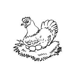 Dibujo para colorear: Pollo (Animales) #17397 - Dibujos para Colorear e Imprimir Gratis