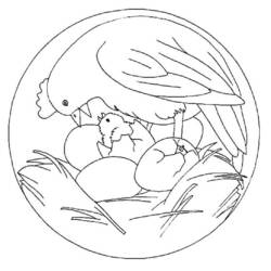 Dibujo para colorear: Pollo (Animales) #17404 - Dibujos para Colorear e Imprimir Gratis