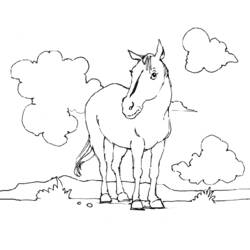 Dibujo para colorear: Poni (Animales) #17860 - Dibujos para Colorear e Imprimir Gratis