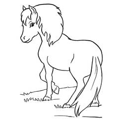 Dibujo Poni (Animales) #210336 para imprimir y colorear