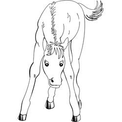 Dibujo Poni (Animales) #214228 para imprimir y colorear