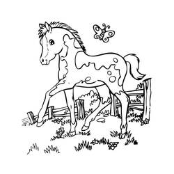 Dibujo Poni (Animales) #214231 para imprimir y colorear