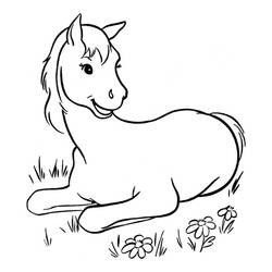 Dibujo Poni (Animales) #214234 para imprimir y colorear