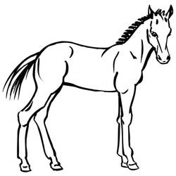 Dibujo Poni (Animales) #214236 para imprimir y colorear