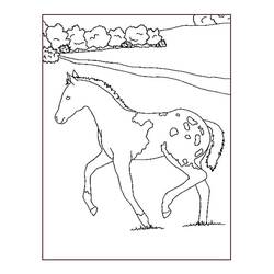Dibujo Poni (Animales) #214240 para imprimir y colorear