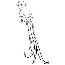 Dibujo para colorear: Quetzal (Animales) #180742 - Dibujos para Colorear e Imprimir Gratis