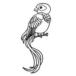 Dibujo para colorear: Quetzal (Animales) #180743 - Dibujos para Colorear e Imprimir Gratis