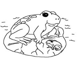 Dibujo para colorear: Rana (Animales) #7715 - Dibujos para Colorear e Imprimir Gratis