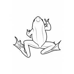 Dibujo para colorear: Rana (Animales) #7760 - Dibujos para Colorear e Imprimir Gratis