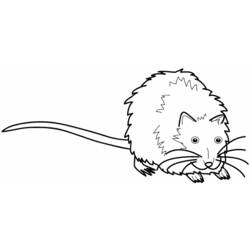Dibujo para colorear: Rata (Animales) #15183 - Dibujos para Colorear e Imprimir Gratis