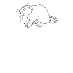 Dibujo para colorear: Rata (Animales) #15215 - Dibujos para Colorear e Imprimir Gratis