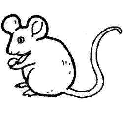Dibujo para colorear: Ratón (Animales) #13938 - Dibujos para Colorear e Imprimir Gratis