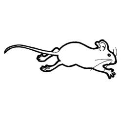 Dibujo para colorear: Ratón (Animales) #13985 - Dibujos para Colorear e Imprimir Gratis