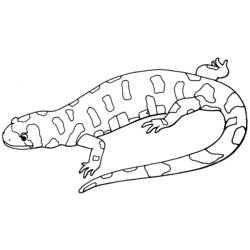Dibujo para colorear: Salamandra (Animales) #19902 - Dibujos para Colorear e Imprimir Gratis