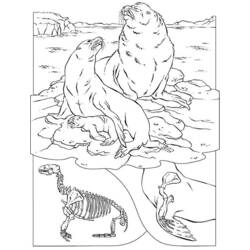Dibujo para colorear: Sello (Animales) #16337 - Dibujos para Colorear e Imprimir Gratis