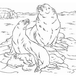 Dibujo para colorear: Sello (Animales) #16383 - Dibujos para Colorear e Imprimir Gratis