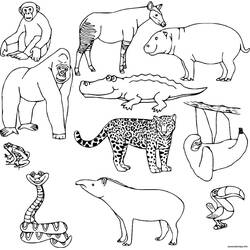 Dibujo Selva (Animales) #181004 para imprimir y colorear