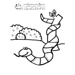 Dibujo para colorear: Serpiente (Animales) #14396 - Dibujos para Colorear e Imprimir Gratis